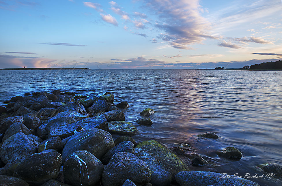 Foto av Eva Bucksch